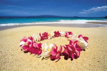 【新人寶典】之深度蜜月攻略,讓你瞬間從小白變身磚家! 第5張