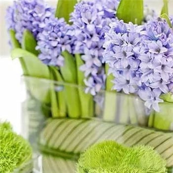 婚禮桌花的類型有哪些 五種類型婚禮桌花推薦