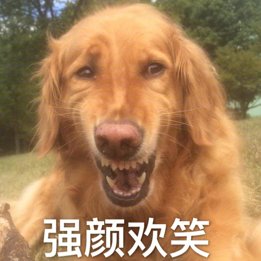 這些年的奇葩相親經(jīng)歷！電視劇都不敢這么拍！  第2張
