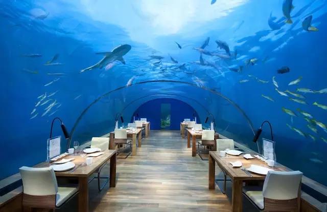 蜜月旅行去哪里？全球最美的海濱蜜月酒店推薦  第11張
