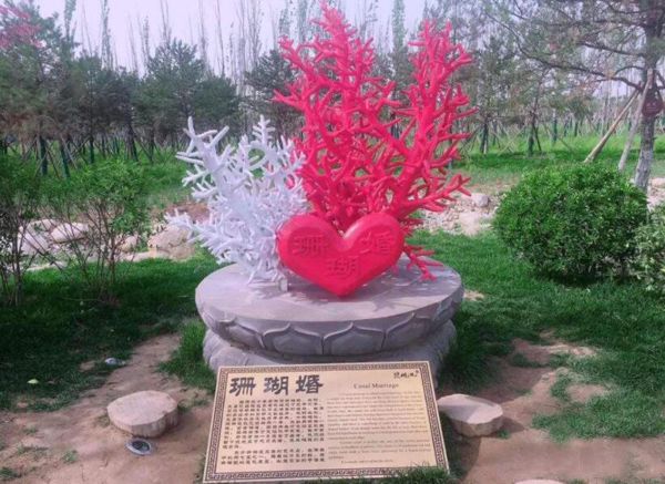 珊瑚婚是指結婚多少年 珊瑚婚意義