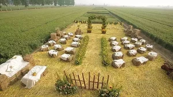 農村婚禮不找婚慶自己布置婚禮,這才是我想要的農村婚禮! 第1張