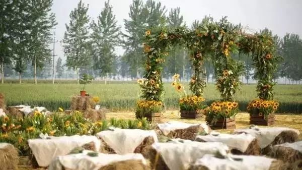 農村婚禮不找婚慶自己布置婚禮,這才是我想要的農村婚禮! 第3張