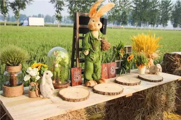 農村婚禮不找婚慶自己布置婚禮,這才是我想要的農村婚禮! 第4張