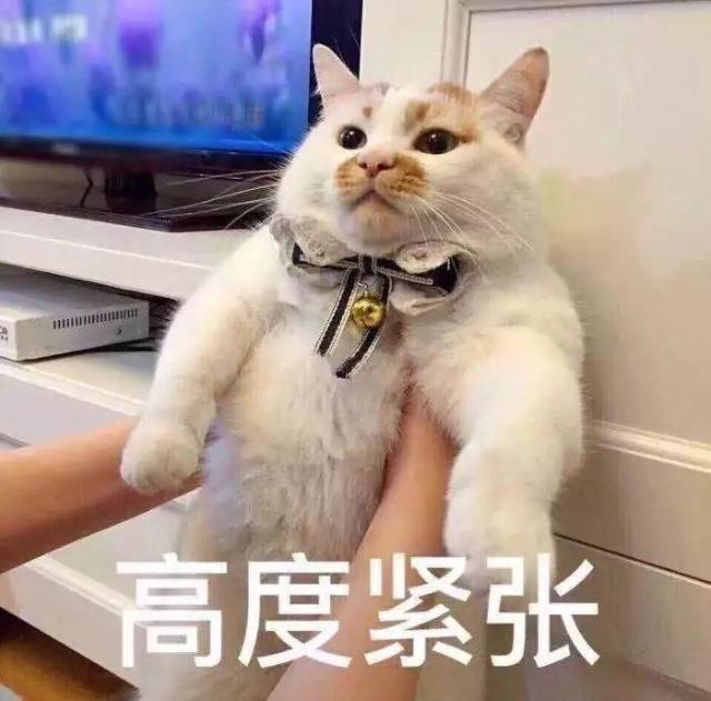 第一次見家長有多尷尬？隔著屏幕感覺都快窒息了！  第1張