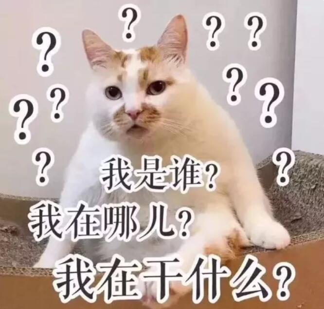 第一次見家長有多尷尬？隔著屏幕感覺都快窒息了！  第2張