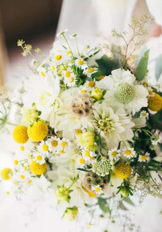 手捧花應(yīng)該如何選擇 7種超美手捧花鮮花搭配推薦(附圖) 第4張