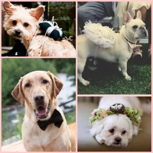 婚禮上最具儀式感的7個環節，讓婚禮永生難忘！  第9張