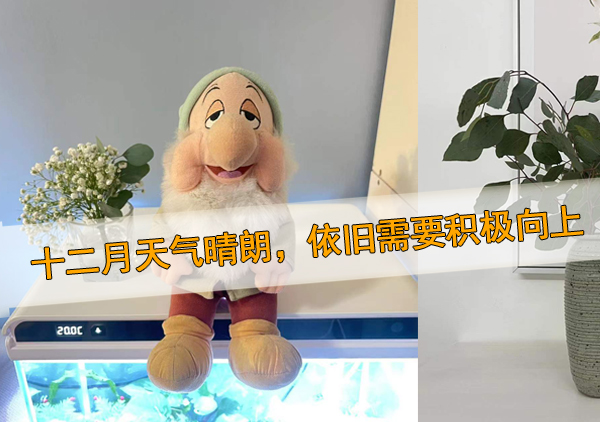 關(guān)于2021最后一個(gè)月的朋友圈說(shuō)說(shuō)心情短語(yǔ) 隨心