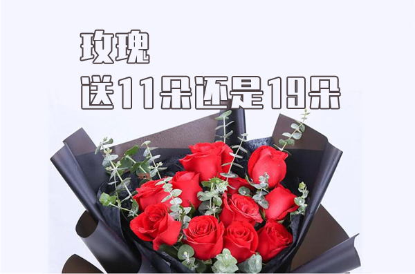 送玫瑰送11朵還是19朵，送11朵玫瑰代表什么